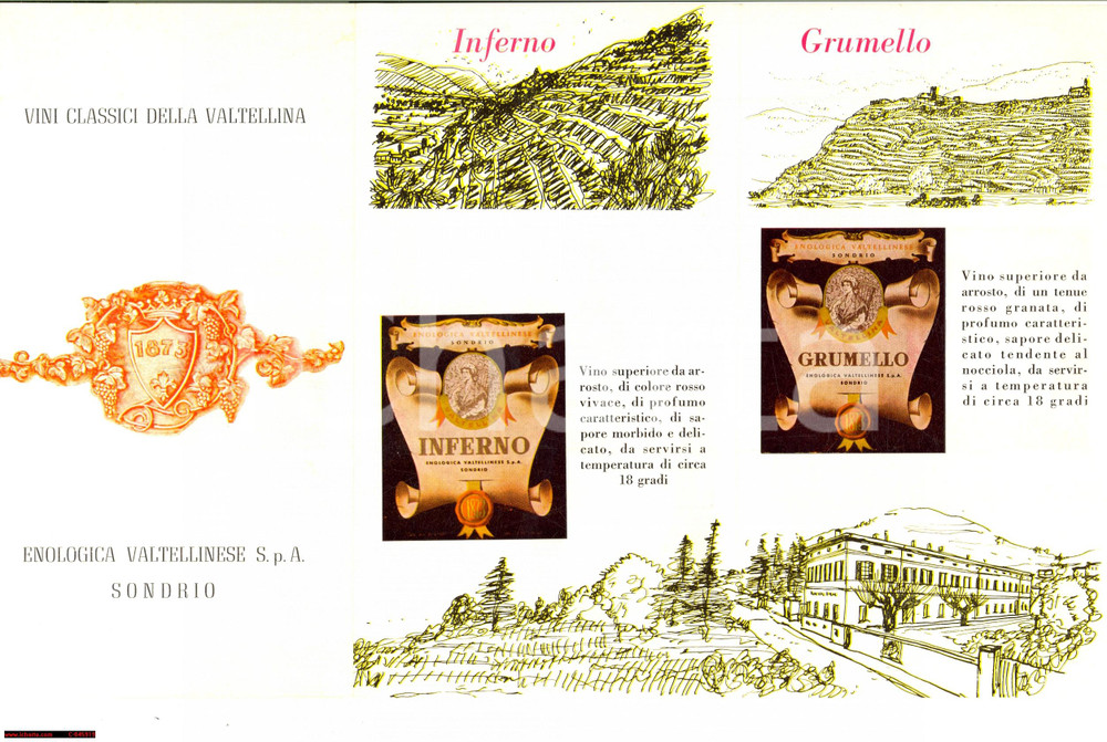 Materiale pubblicitario d’epoca 1961 SONDRIO Vini classici ENOLOGICA VALTELLINESE 1