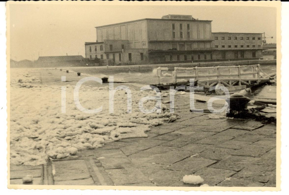Cartolina originale da collezione 1954 TRIESTE Molo dei FRIGORIFERI GENERALI ghiacciato Foto cartolina FG VG 1