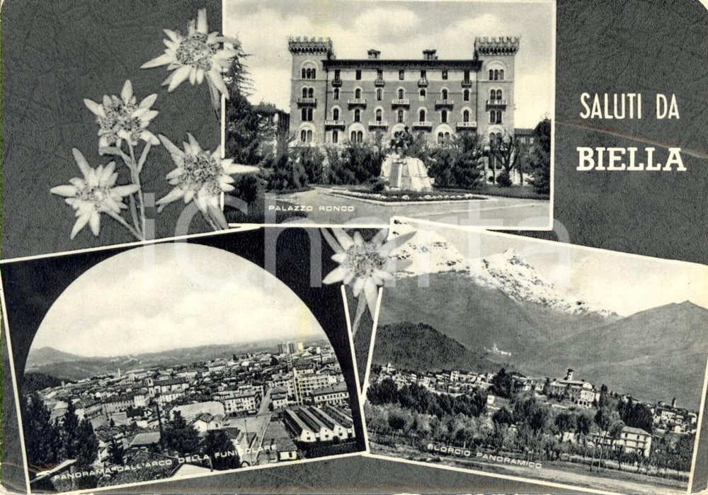 Cartolina originale da collezione 1950 ca BIELLA Vedutine cittÃ  e palazzo RONCO Cartolina DANNEGGIATA FG NV 1
