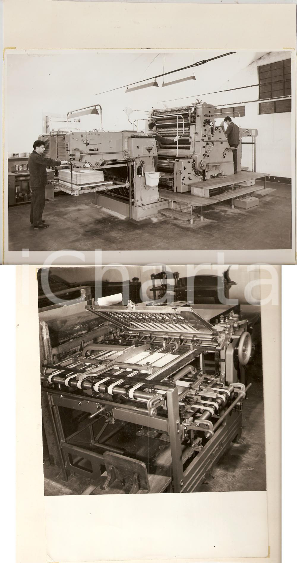 Fotografia d epoca originale 1969 PAVIA Tipografia Mario PONZIO Operai al lavoro su ROLAND ULTRA FRONTE RETRO 1