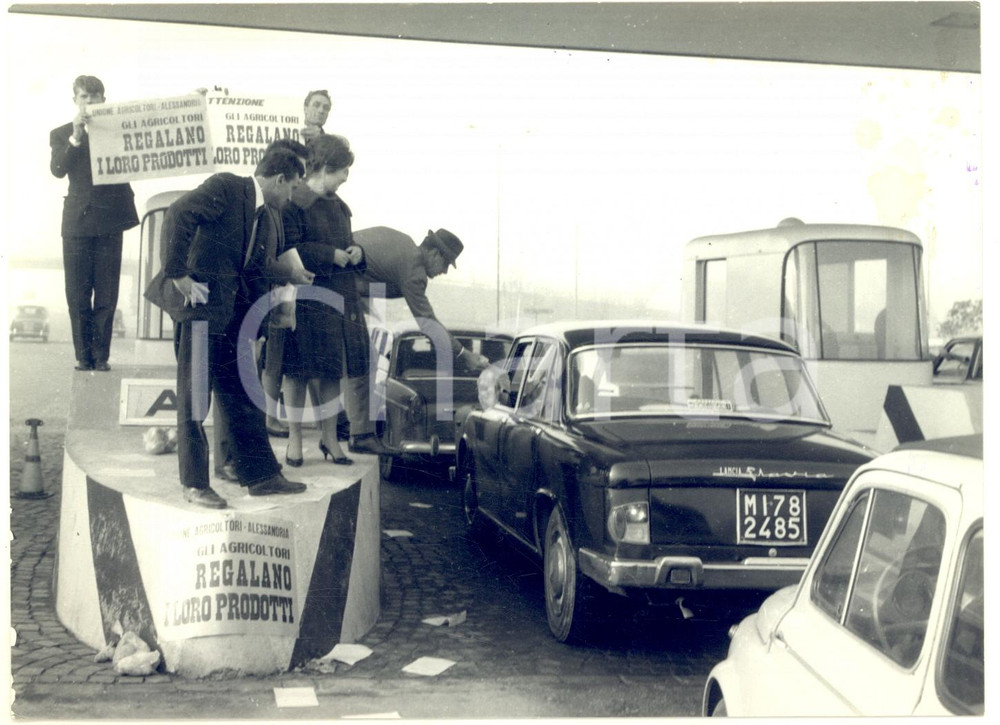 1964 AUTOSTRADA DEI FIORI Protesta agricoltori di Alessandria - Omaggi di patate