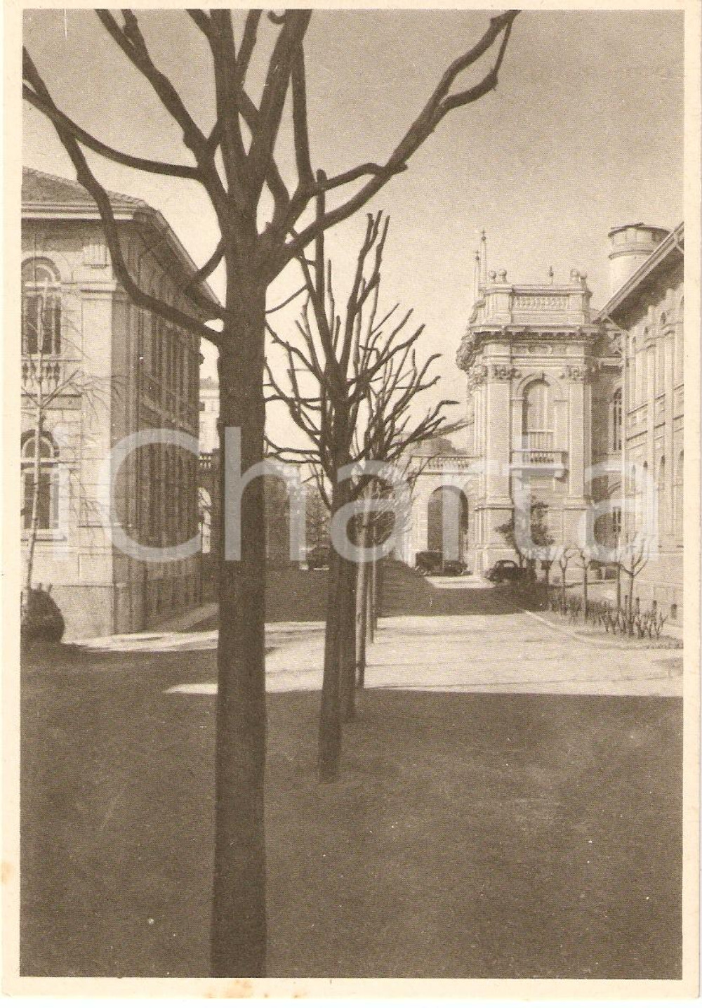 Cartolina originale da collezione 1945 ca POLITECNICO DI MILANO Vialone interno panorama *Cartolina FG NV 1