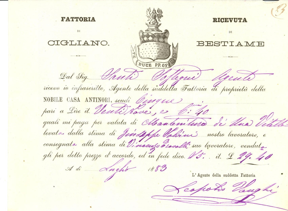 Documento originale, autentico 1883 CIGLIANO (FI) Ricevuta bestiame nobili ANTINORI 1