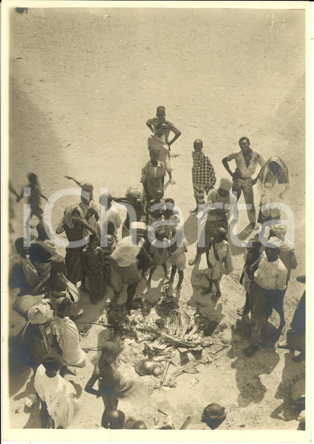 Fotografia d epoca originale 1931 SOMALIA Indigeni festeggiano su carcassa di animale FOTOGRAFIA 1