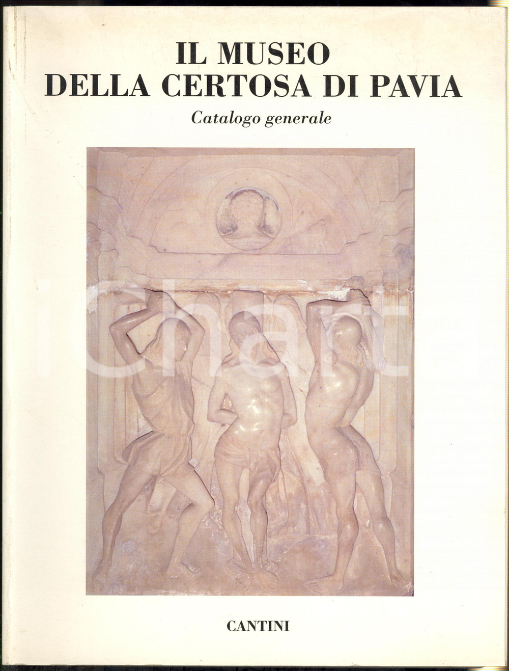Libro, pubblicazione d epoca 1992 Barbara FABJAN Pietro MARANI Il museo della Certosa di Pavia  Catalogo 1