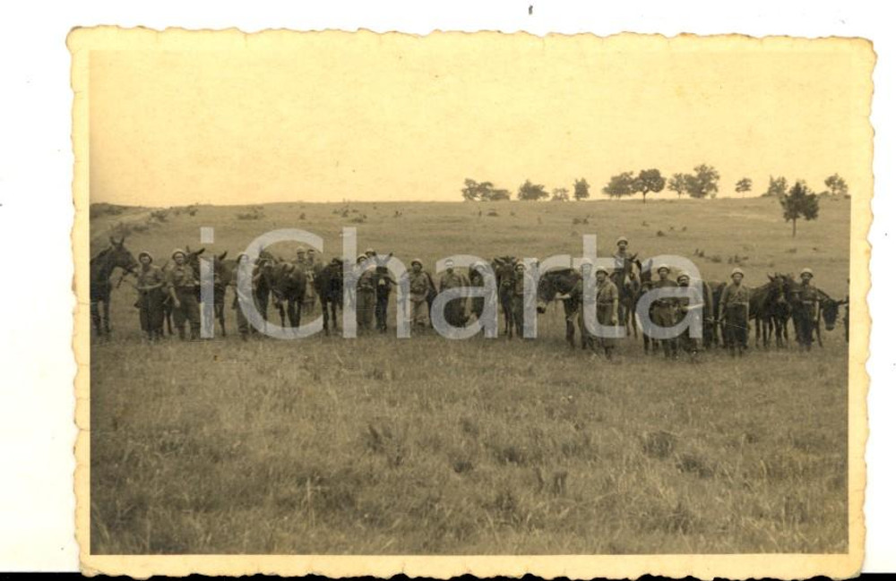 Fotografia d epoca originale 1940 ca WW2 ZONA DI GUERRA Battaglione con muli da trasporto Foto 10x7 cm 1