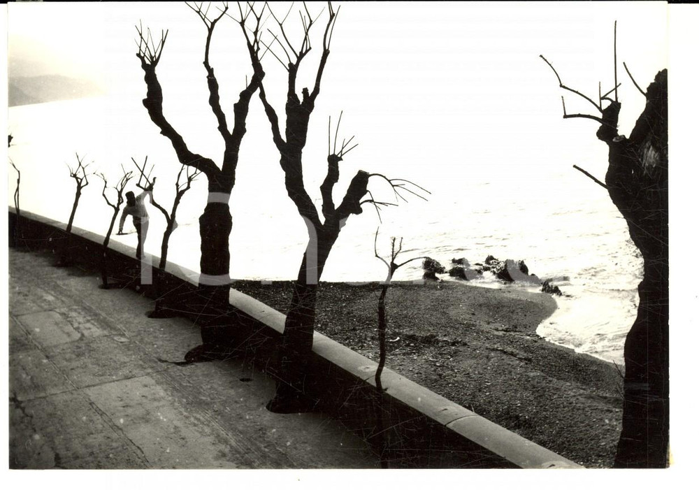 Fotografia d epoca originale 1958 AREA LOMBARDA In equilibrio sul lago Fotografia anonima 15x10 cm 1