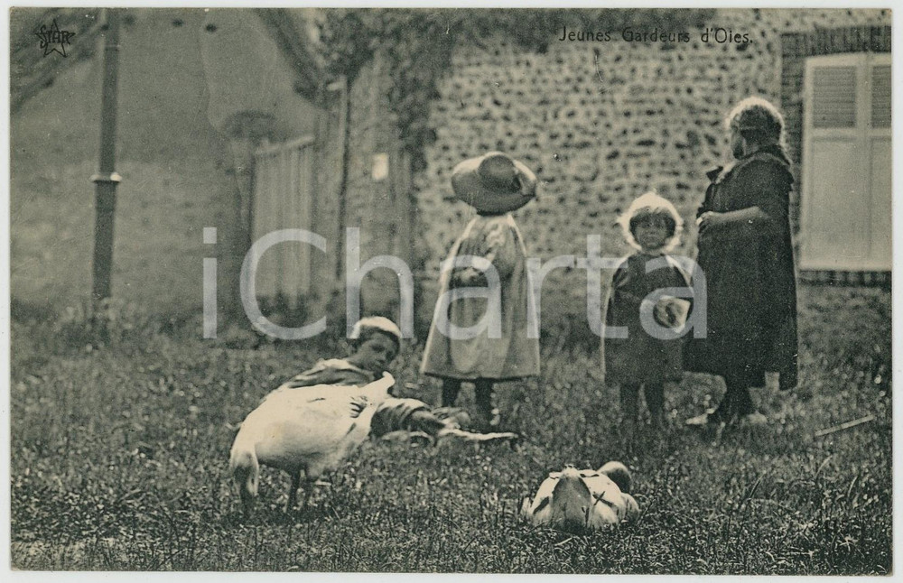 1920 ca BELGIQUE Jeunes gardeurs d'oies - Vintage postcard  Cartolina postale d'epoca, non viaggiata. GOOD/buono  Formato: 14x9 cm originale e autentica 1
