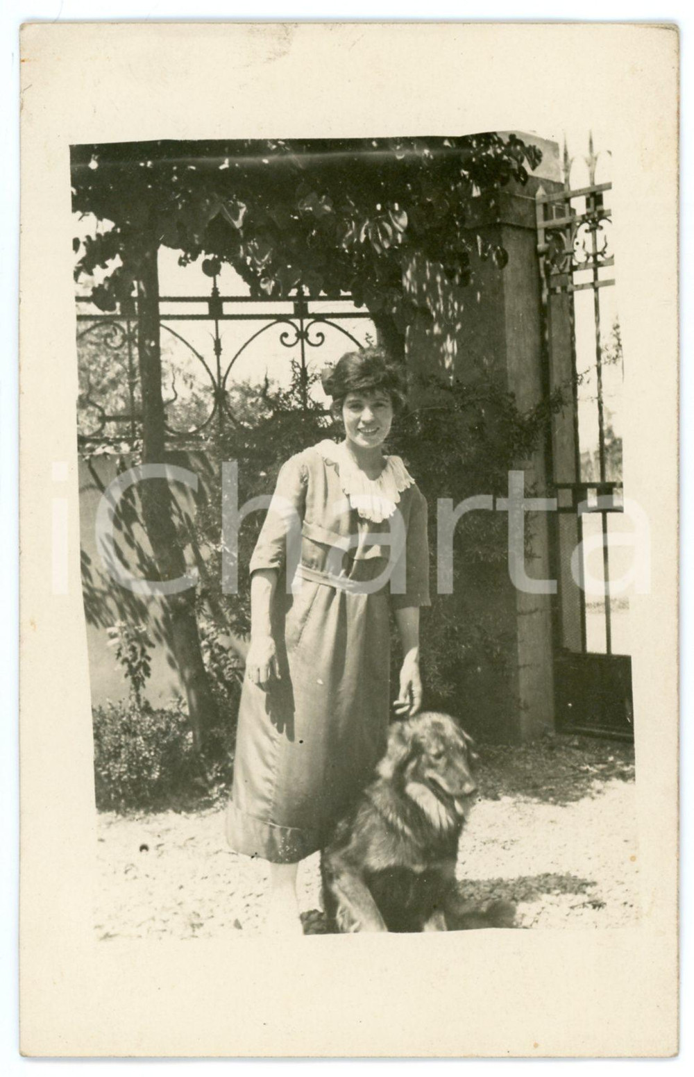 1920 ca ITALIA Ritratto di giovane donna con il suo cane - Foto 9x14 cm  Fotografia d'epoca, in formato cartolina postale.CONDIZIONI: GFORMATO: 9x14 cm    originale e autentica 1