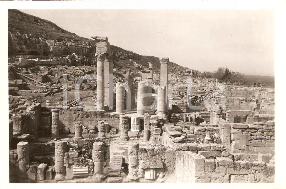 Fotografia d epoca originale 1930 ca CIRENE LIBIA Veduta degli scavi VERA FOTO 1