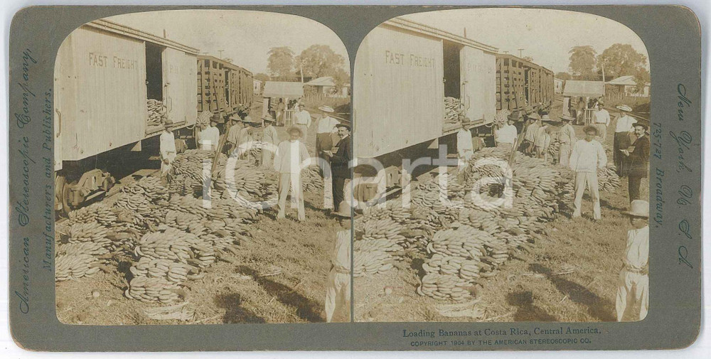 1904 COSTA RICA - CENTRAL AMERICA - Loading bananas *Stereoview American Fotografia stereoscopica d'epoca, su cartoncino rigido.EDITORE: American Stereoscopic Company, New York  GOOD/buono  Formato: 18x9 cm originale e autentica 1