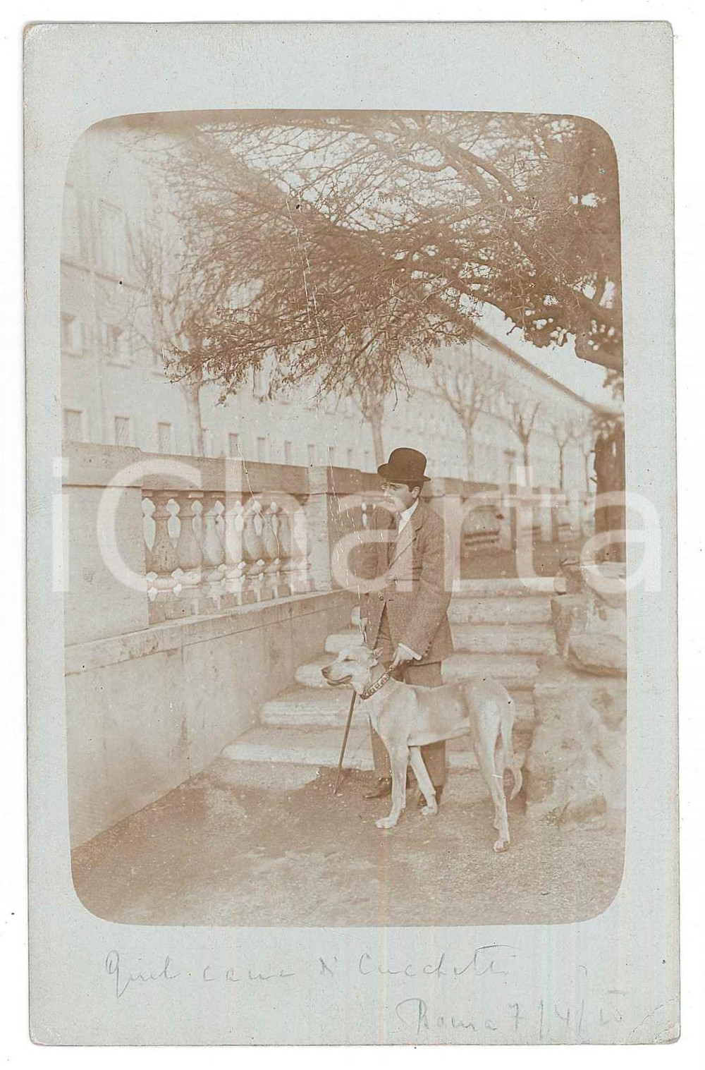 Fotografia d epoca originale 1915 ROMA Famiglia CUCCHETTI  Cane e padrone Foto cartolina 9x14 cm 1