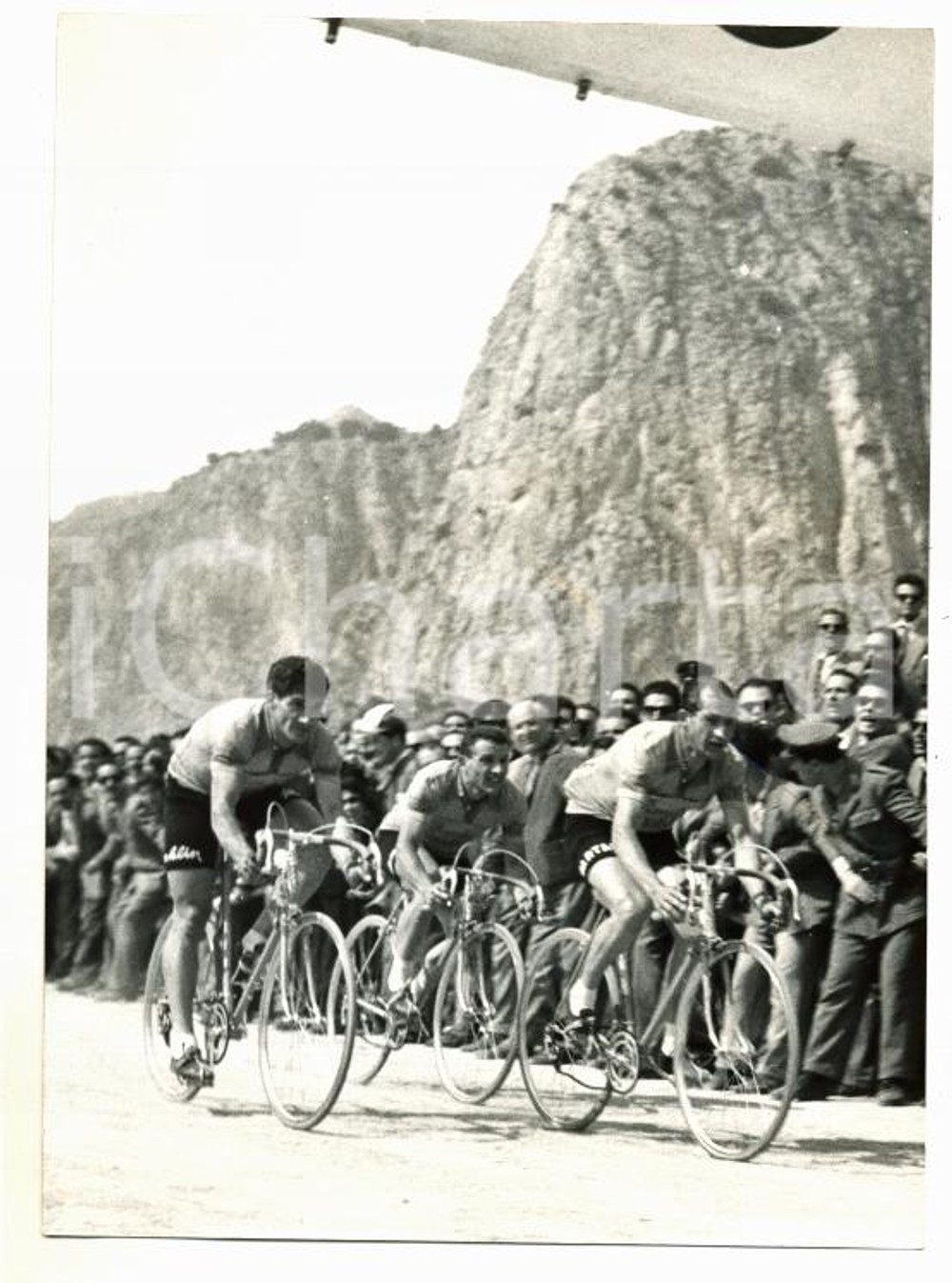 Fotografia d epoca originale 1954 PALERMO  GIRO D ITALIA Gino BARTALI al traguardo con la squadra Foto 13x18 1