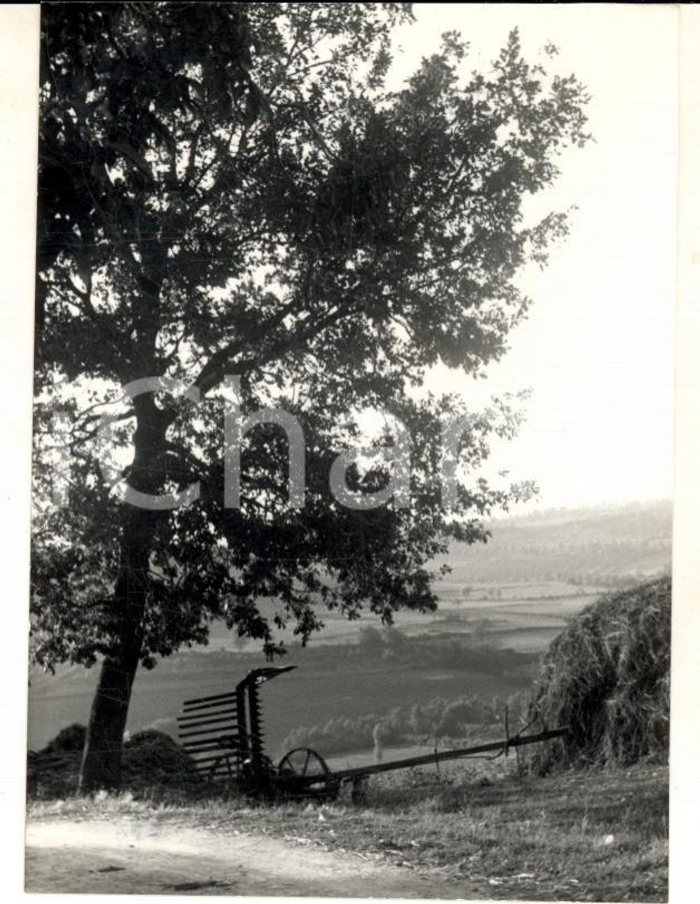Fotografia d epoca originale 1958 MONTERIGGIONI SI Una veduta di campagna Foto ARTISTICA 7x10 cm 1