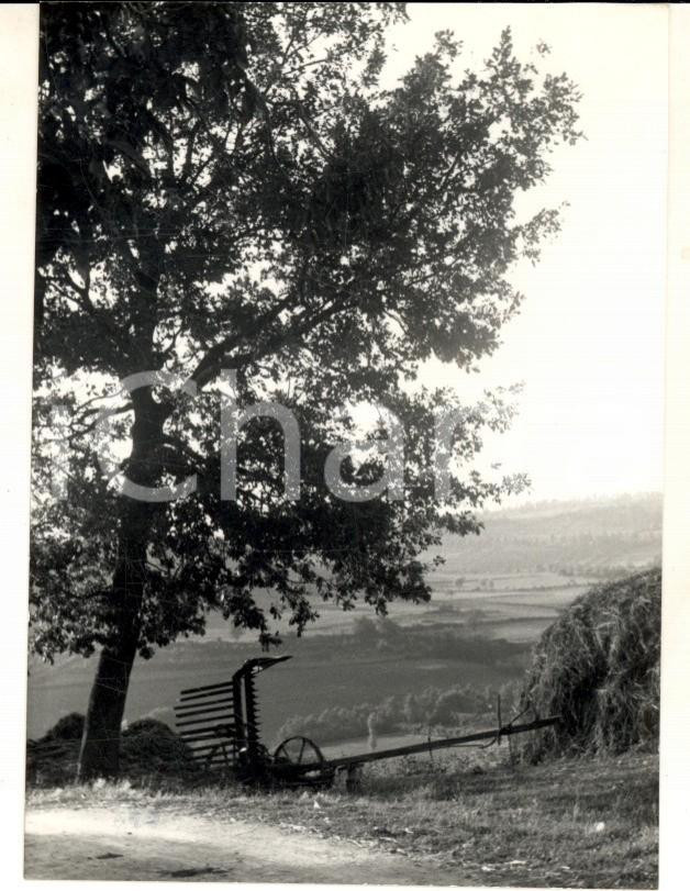 Fotografia d epoca originale 1958 MONTERIGGIONI SI Una veduta di campagna Foto ARTISTICA 7x10 cm 1