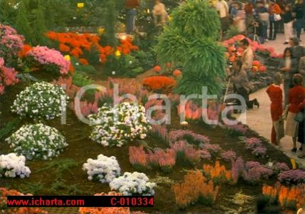 Cartolina originale da collezione 1986 GENOVA Fiera EUROFLORA Esposizione piante ornamentali ANIMATA *Cartolina FG 1