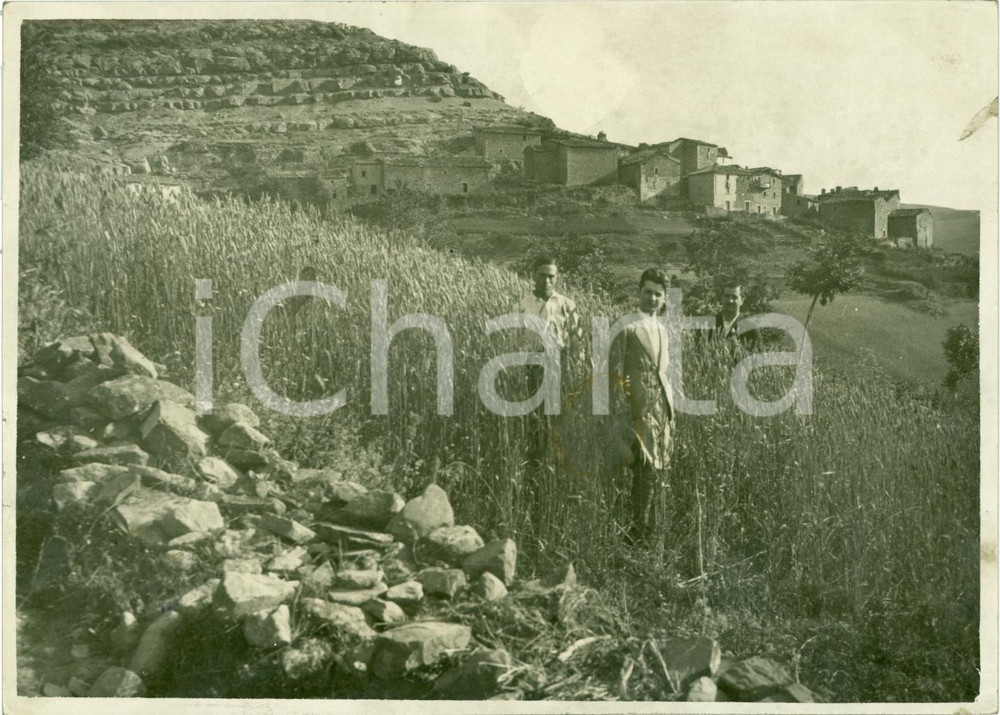 Fotografia d epoca originale 1930 ca SAN GIORGIO TE Campo sperimentale a grano in montagna Foto ANIMATA 1
