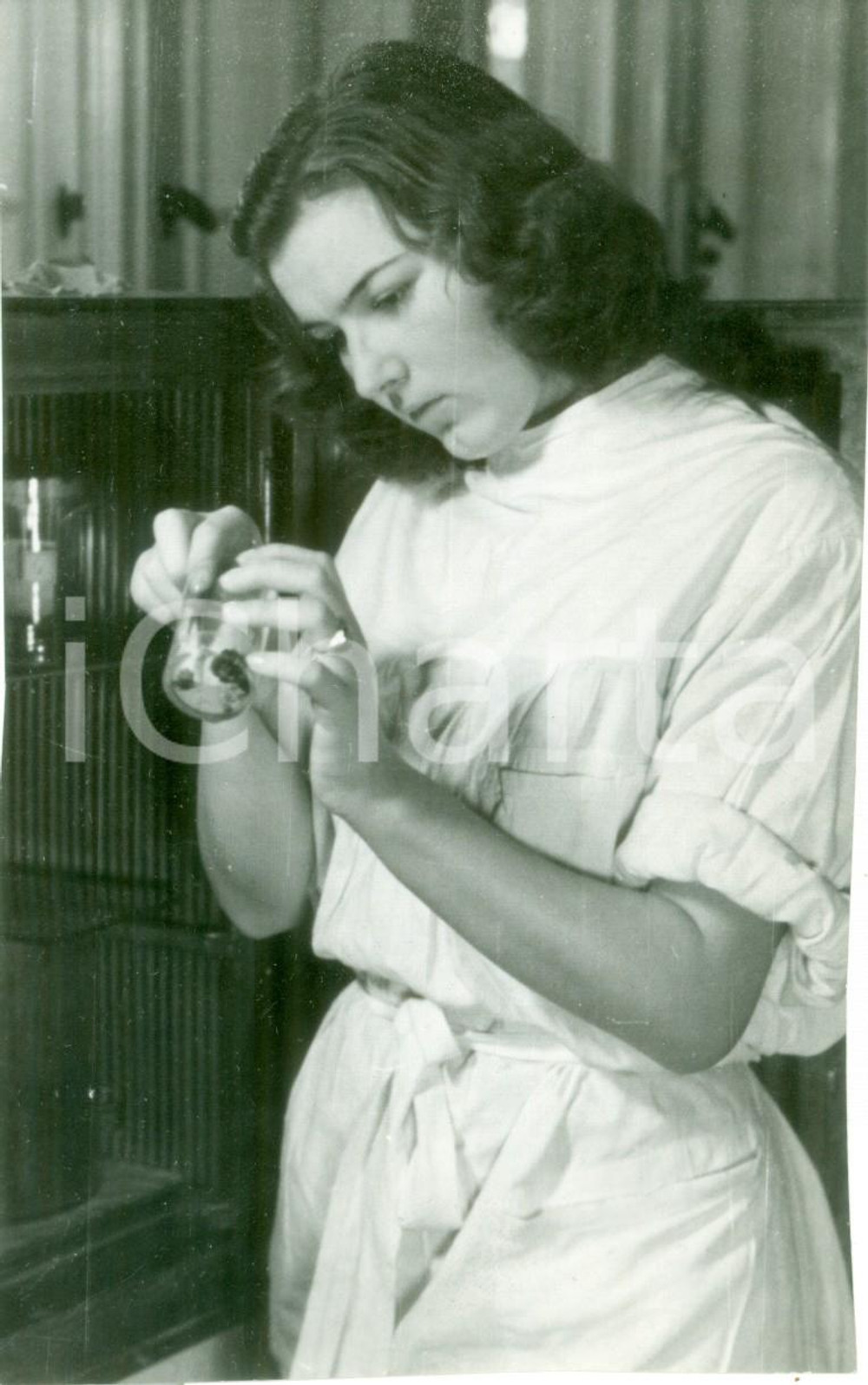 Fotografia d epoca originale 1943 MILANO Giovane dottoressa in un laboratorio chimico Fotografia 1