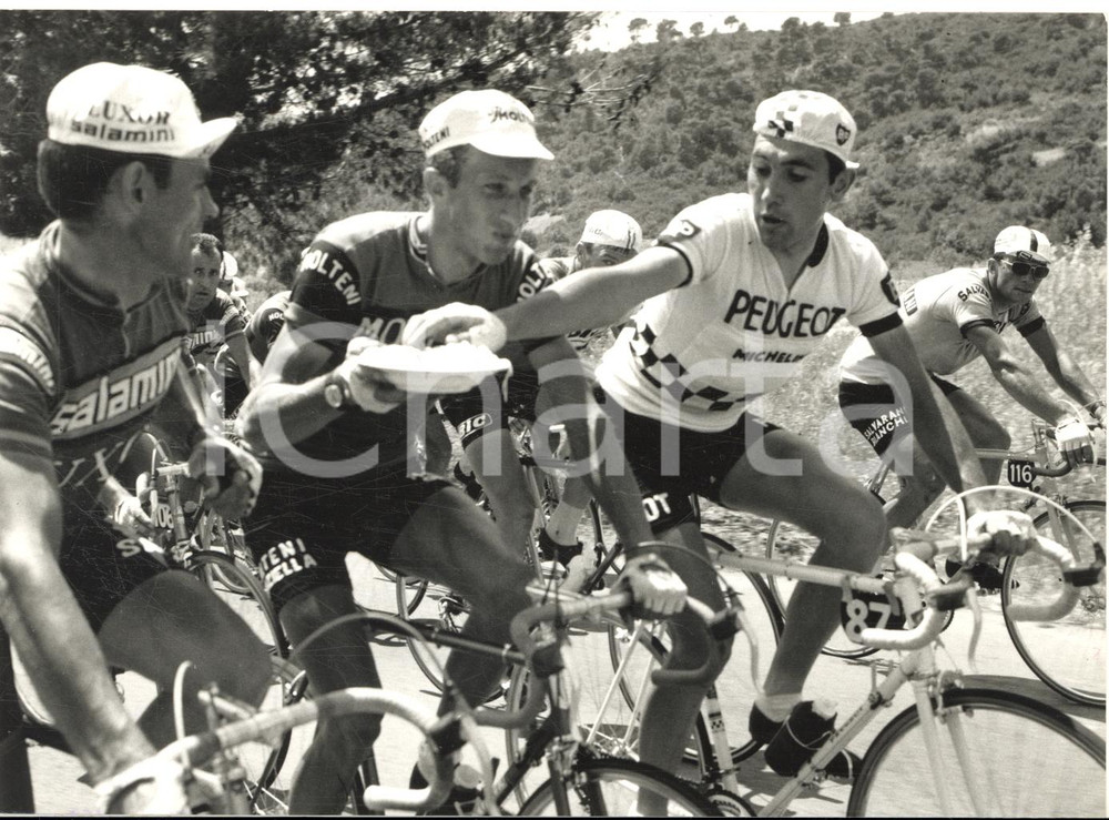 1967 GIRO D'ITALIA Gianni MOTTA divide un piatto di spaghetti con i compagni