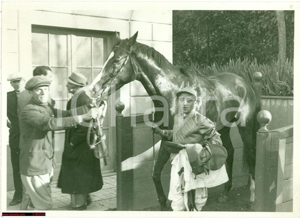 Fotografia d'epoca originale 1942 FIRENZE Cavallo TORCELLO vince il suo 105Â° premio 1