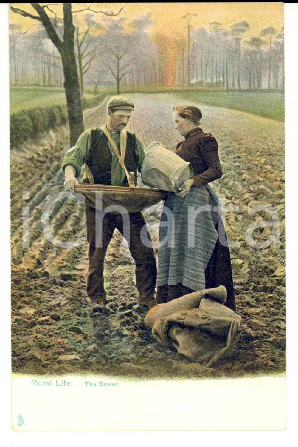 Cartolina originale da collezione 1910 UNITED KINGDOM - RURAL LIFE The sower *VINTAGE Postcard FP NV 1