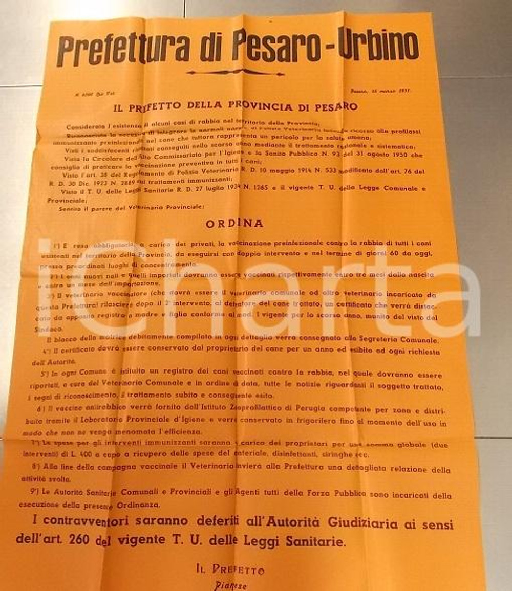 Documento originale, autentico 1951 PESARO URBINO Norme per vaccinazione contro la rabbia Manifesto cm 70 x 100 1