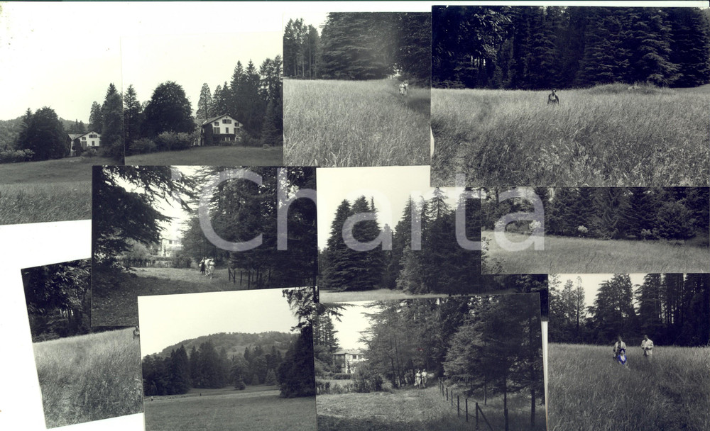 Fotografia d epoca originale 1962 GUELLO CO Villa PIRRI e dintorni Lotto 11 foto VINTAGE 12x8 cm 1