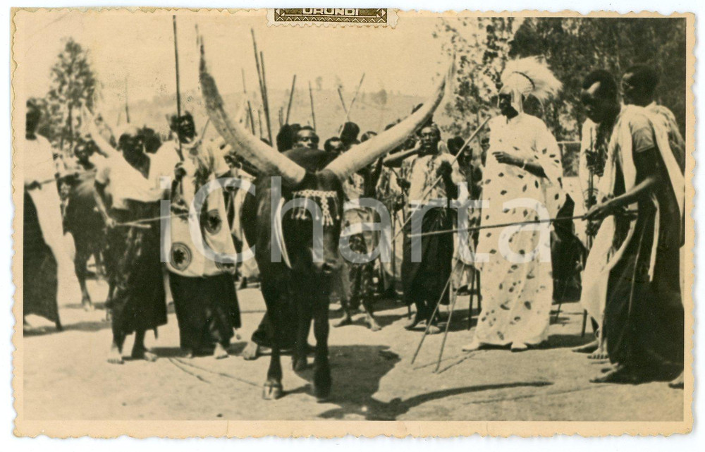 1949 RUANDA - URUNDI (AFRICA) Bull during a ritual ceremony - Postcard FP VG  Cartolina postale d'epoca, viaggiata.CONDIZIONI: FAIRFORMATO: FP    originale e autentica 1
