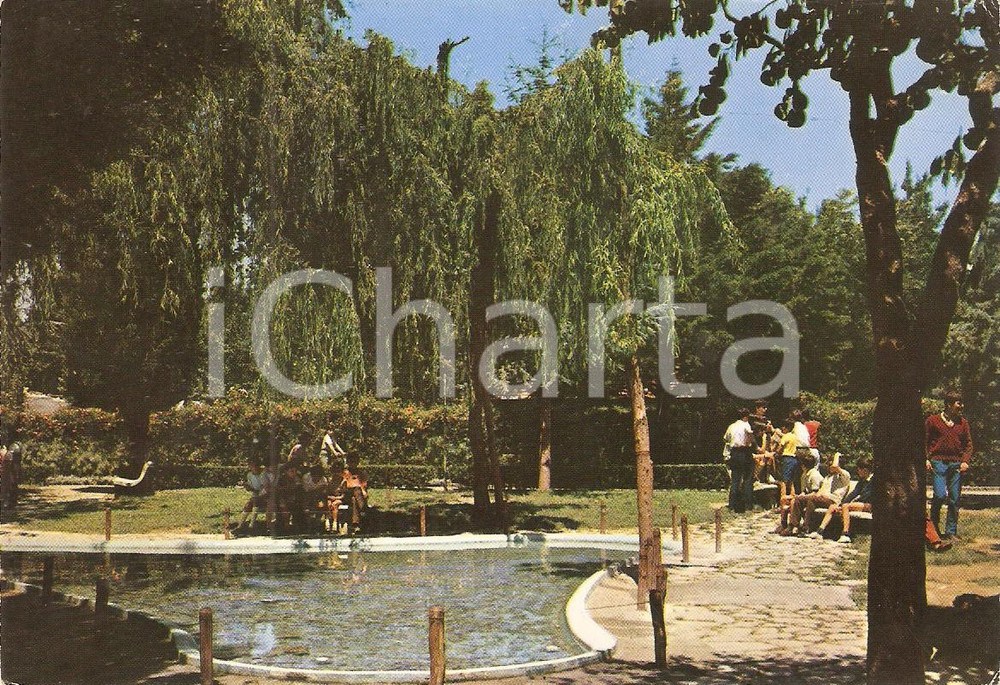 Cartolina originale da collezione 1969 POTENZA Specchio d acqua al Parco Montereale Cartolina FG VG 1