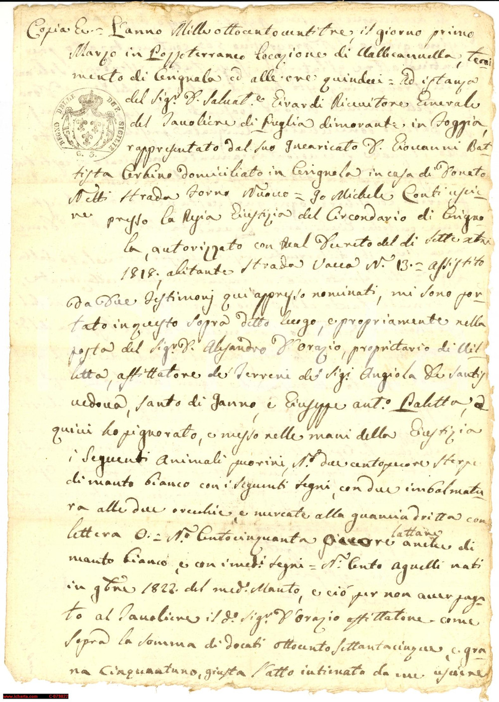 Documento originale, autentico 1823 VALLE CANNELLA FG Pignoramento pecore e agnelli 1