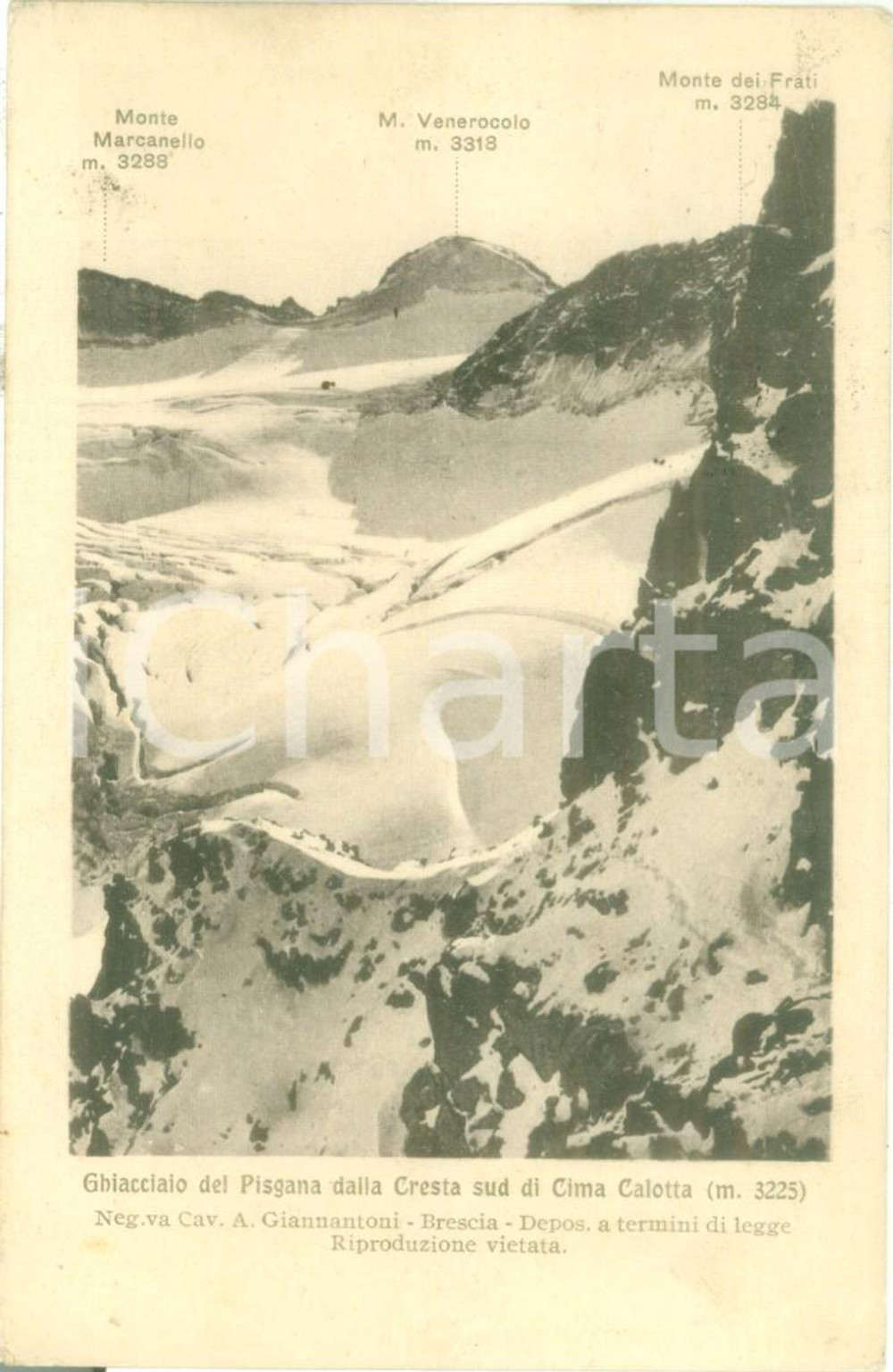 Cartolina originale da collezione 1924 GHIACCIAIO PISGANA TN Panorama Cresta sud Cima CALOTTA Cartolina FP VG 1