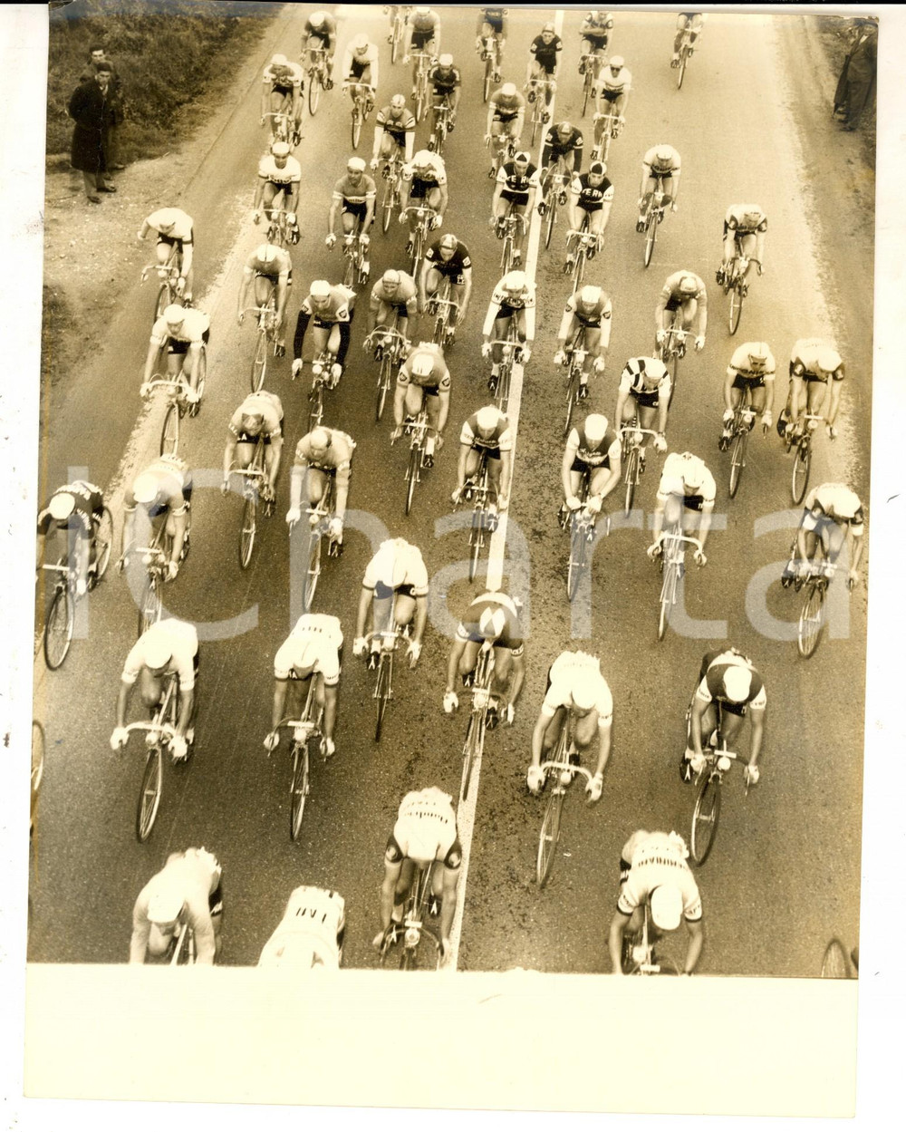 Fotografia d epoca originale 1959 CICLISMO MILANOSANREMO Il gruppo dopo PAVIA Fotografia 18x24 cm 1