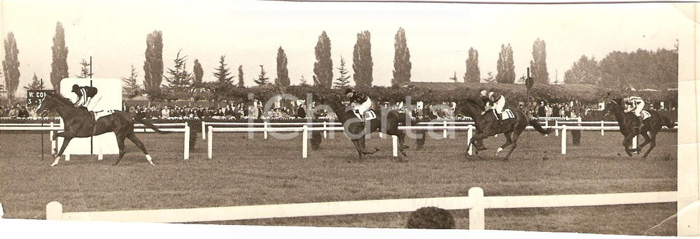 Fotografia d'epoca originale 1940 MILANO SAN SIRO Ippica GALGALO della razza BOFFALORA vince Premio SEMPIONE 1