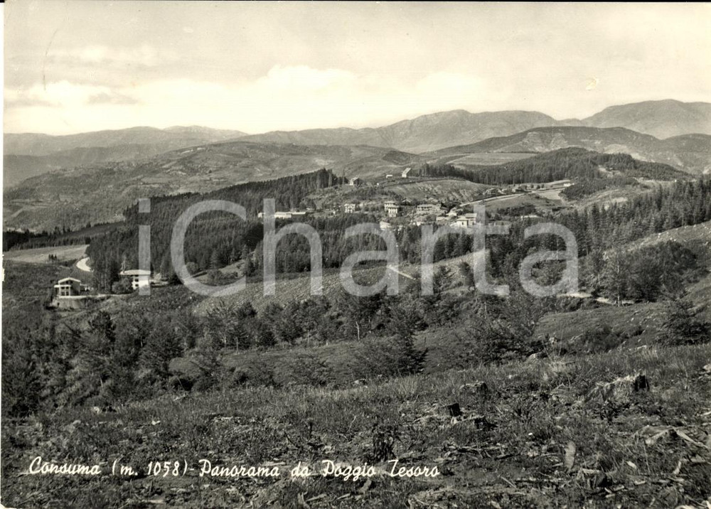 Cartolina originale da collezione 1956 CONSUMA (FI) Panorama da Poggio TESORO FG VG 1