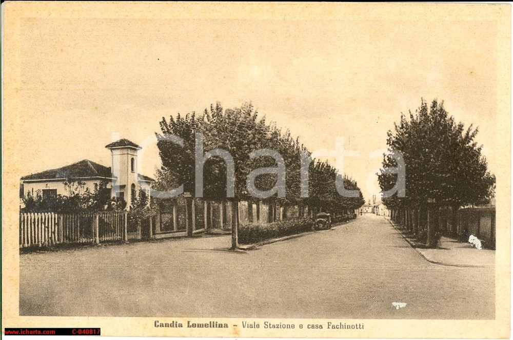 Cartolina originale da collezione DOPPIA 1935 Candia Lomellina *Viale con auto e Fachinotti 1