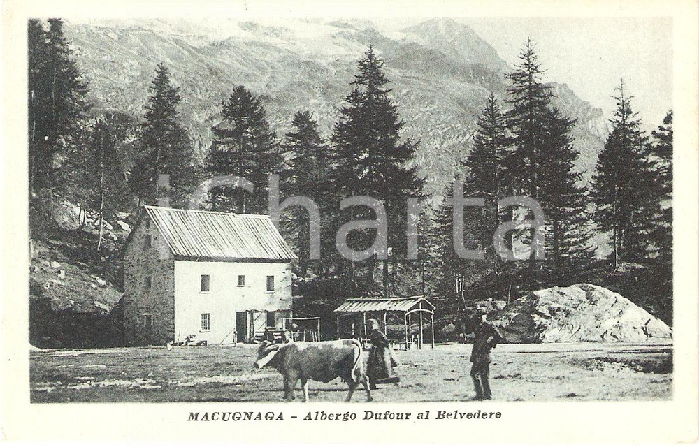 Cartolina originale da collezione 1920 ca MACUGNAGA (VB) Albergo DUFOUR al Belvedere Animata *Cartolina FP NV 1