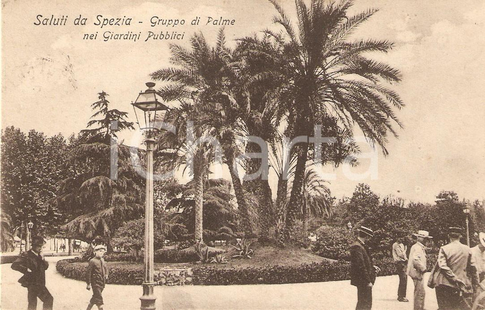 Cartolina originale da collezione 1906 LA SPEZIA Gruppo di palme ai Giardini Pubblici *Cartolina ANIMATA FP VG 1
