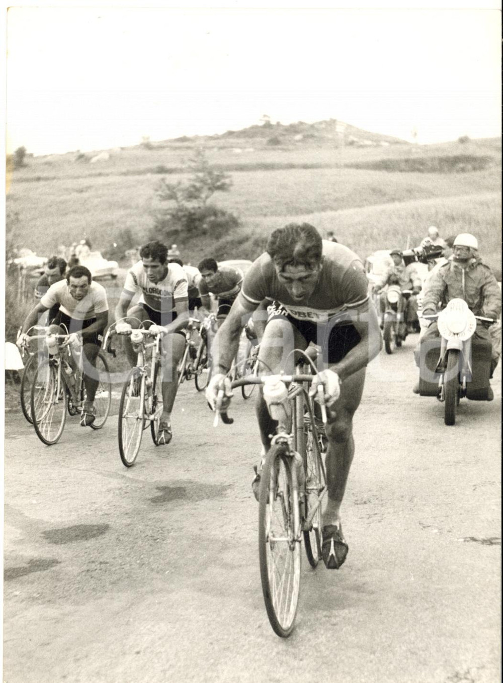 1957 GIRO D'ITALIA RADICOFANI Louison BOBET Gastone NENCINI Nino DEFILIPPIS Foto