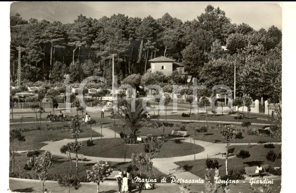 Cartolina originale da collezione 1960 TONFANO / MARINA DI PIETRASANTA LU Veduta dei giardini Cartolina FG VG 1