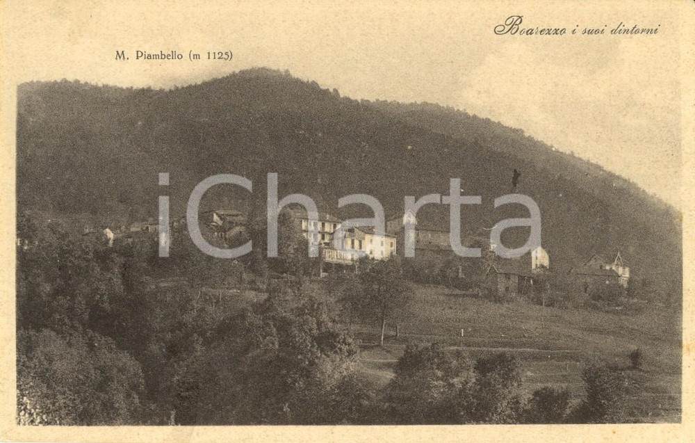 Cartolina originale da collezione 1928 BOAREZZO (VA) Veduta del paese e del monte PIAMBELLO *Cartolina FP VG 1