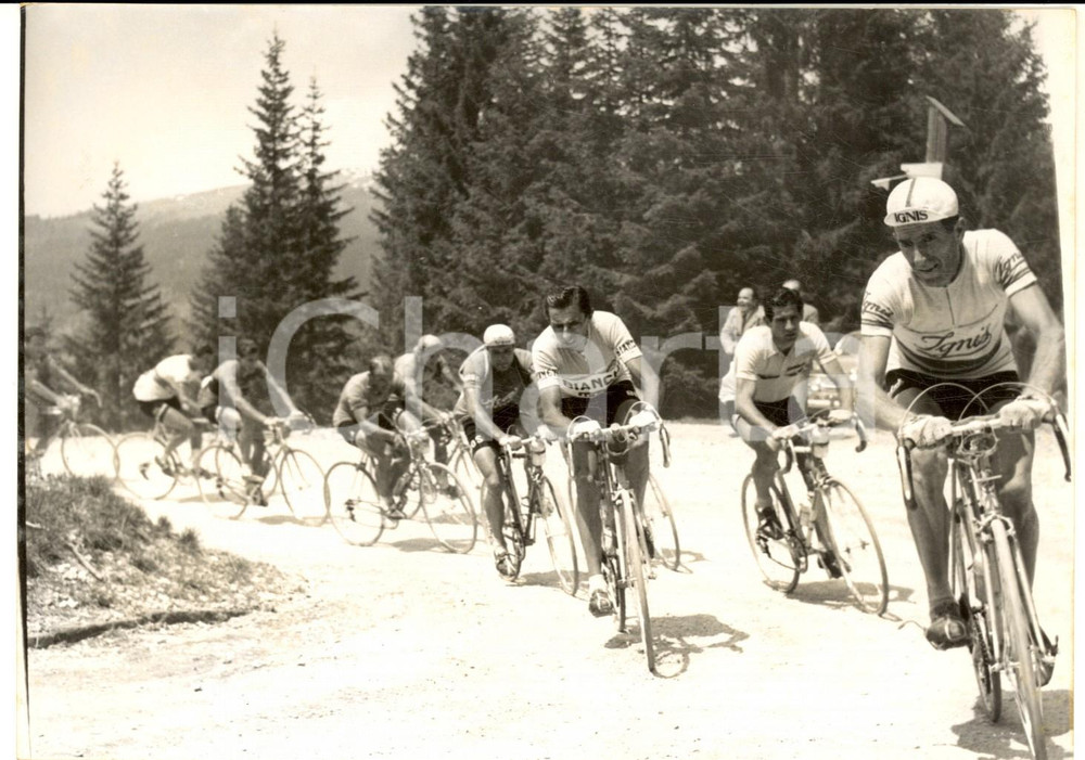 1955 GIRO D'ITALIA Gastone NENCINI e Fausto COPPI alla guida sulle DOLOMITI