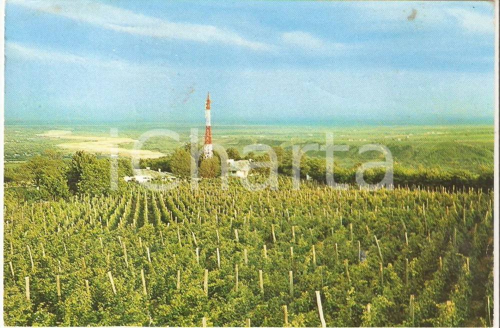 Cartolina originale da collezione 1966 ODOBESTI ROMANIA Collina di SARBA Cartolina FG VG 1