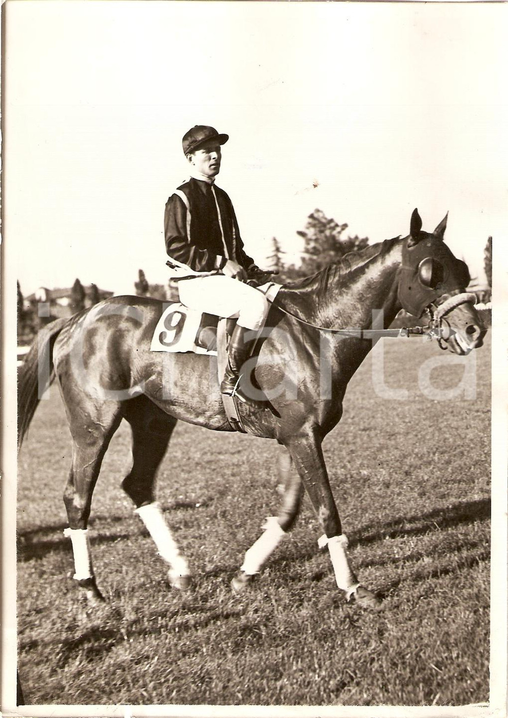 Fotografia d'epoca originale 1939 MILANO SAN SIRO Cavallo GRAZZANO vincitore Gran Premio Fiera rientra a peso 1