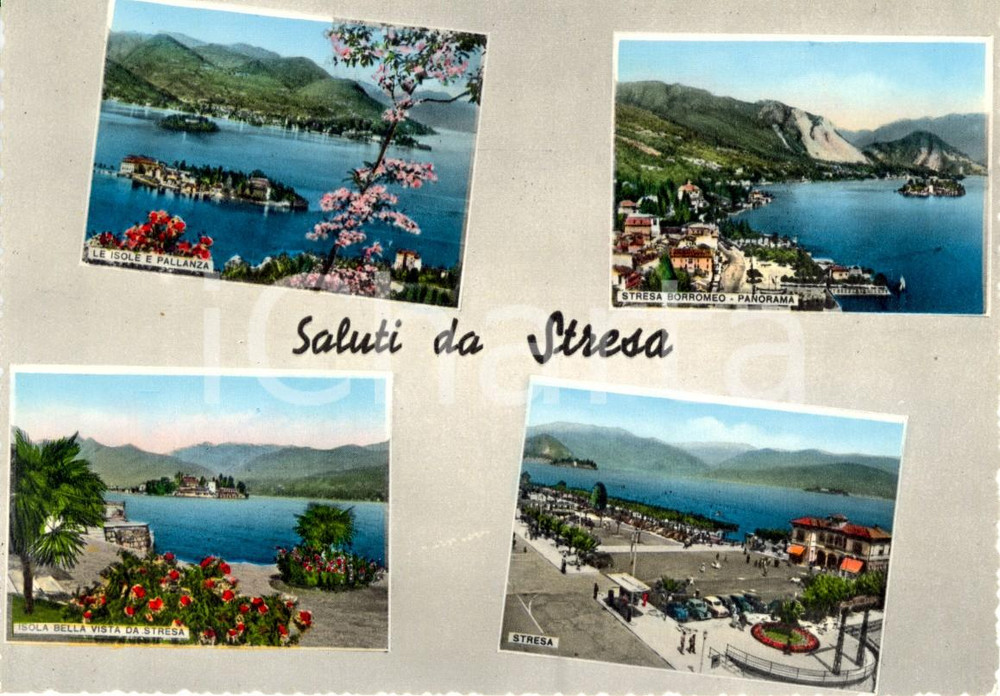 Cartolina originale da collezione 1960 ca STRESA VB Vedutine paese, Isola BELLA e PALLANZA Cartolina FG NV 1