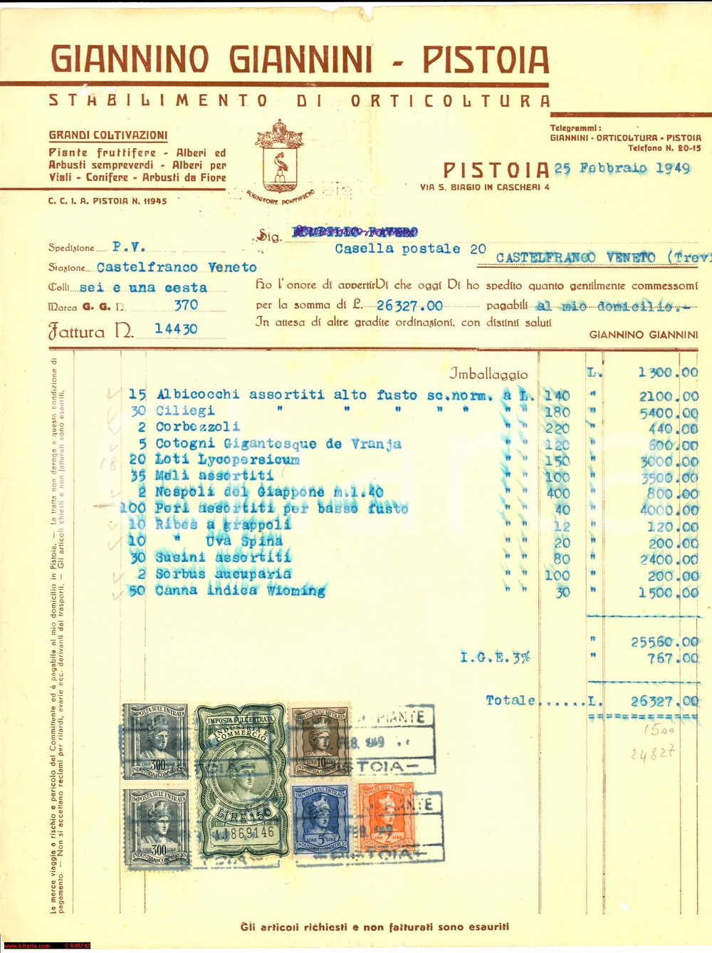 Manoscritto, lettera originale 1953 PISTOIA conto Giannino GIANNINI alberi da frutto 1