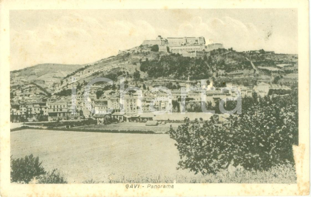 Cartolina originale da collezione 1944 GAVI AL Veduta panoramica dai campi Cartolina FP NV 1