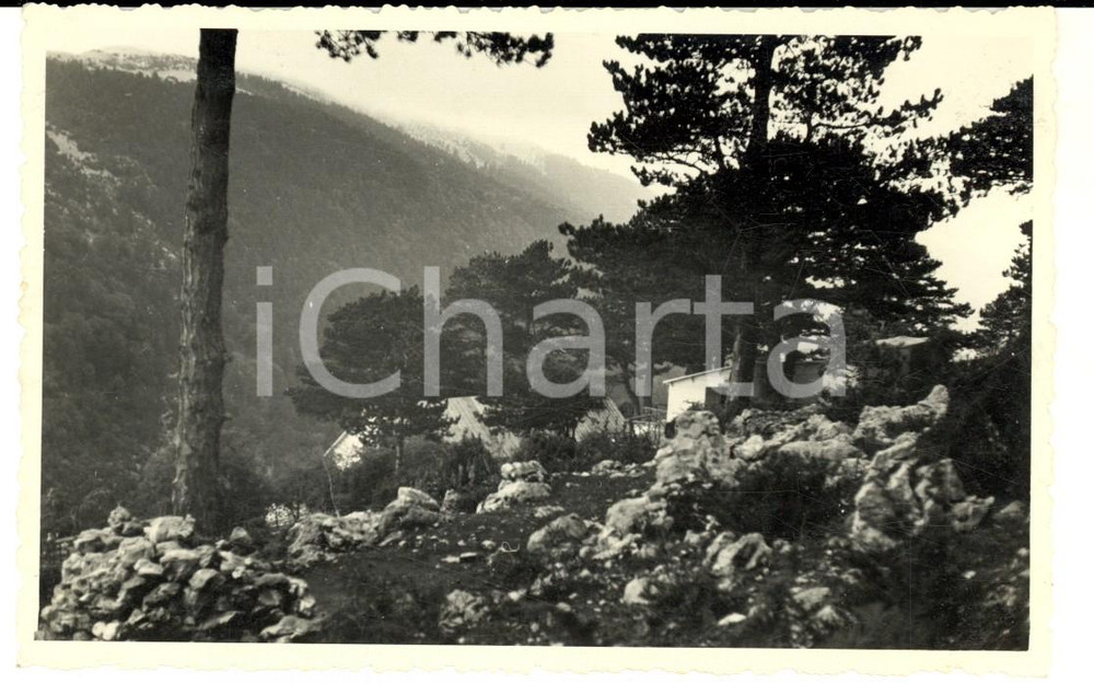 Fotografia d epoca originale 1941 WW2 PASSO LOGORA ALBANIA Ten. BASSANI baracche 251 batteria Foto 14x8 1