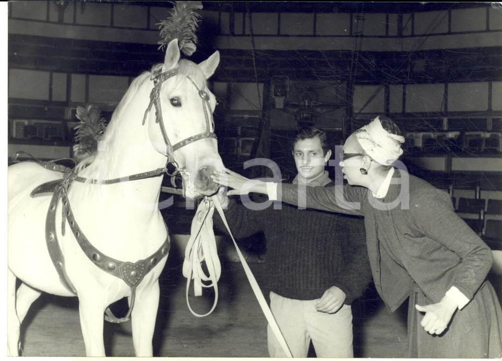 1960 PARIS Gala de l'Union - Joséphine BAKER prépare son numéro avec un cheval