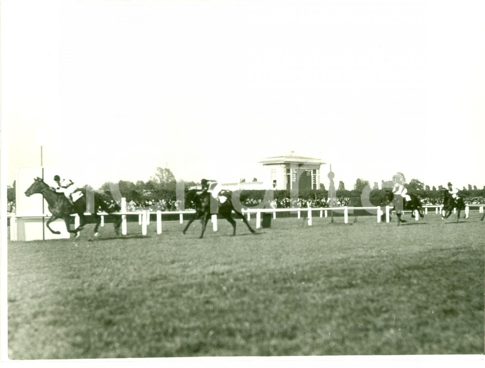 Fotografia d epoca originale 1936 MILANO IPPODROMO SAN SIRO Arrivo cavallo ELITE al Gran Premio Ambrosiano 1