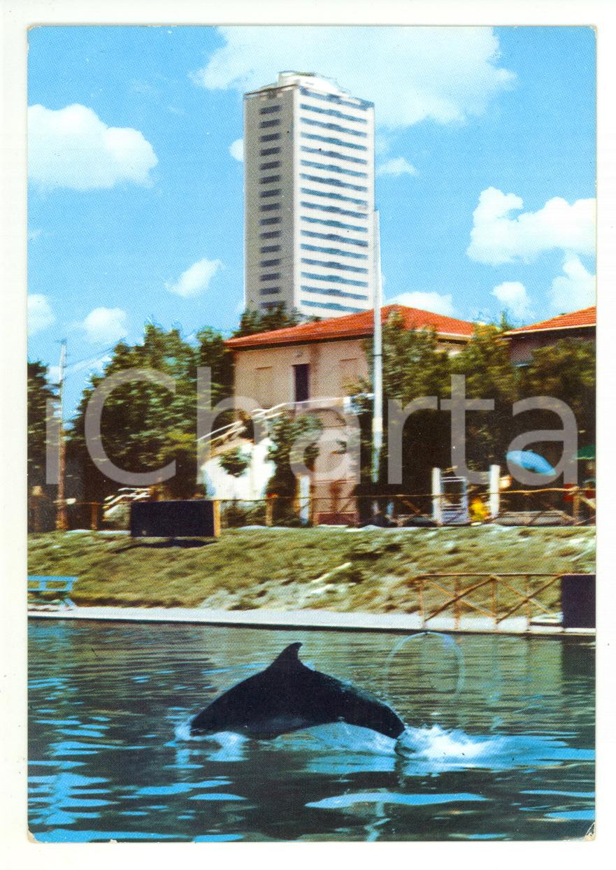 Cartolina originale da collezione 1965 CESENATICO FC Delfino all acquario Cartolina VINTAGE FG VG 1
